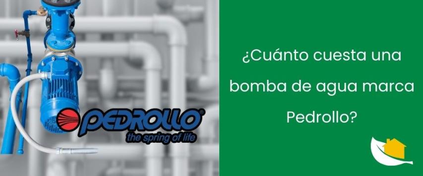 ¿Cuánto cuesta una bomba de agua marca Pedrollo?