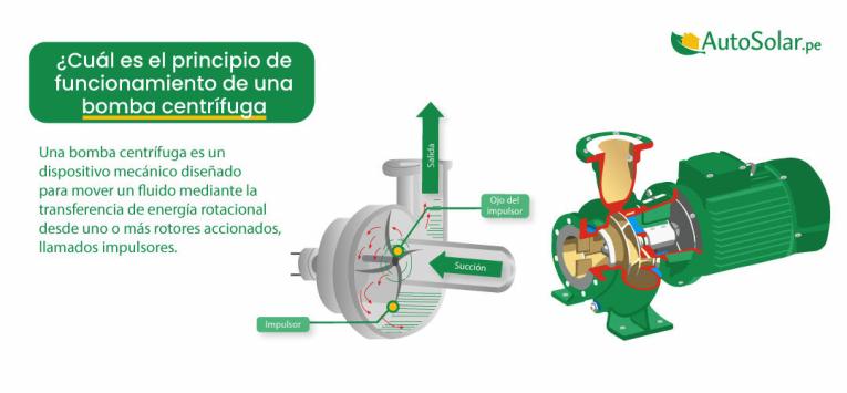 CONSTANCIA DEL FILTRO GRUPO ELECTROGENOS (5/02/2026)