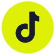 TikTok icon
